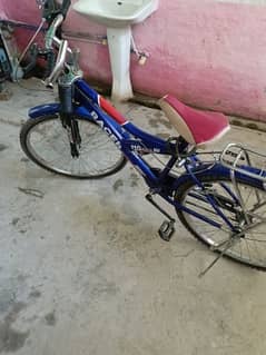 montain bikke 03102548332