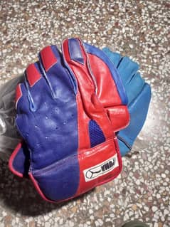 Cricket wicket keeping gloves