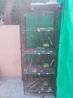 Birds cage and hen cage