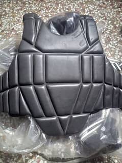 2 Boxing Chest Guard