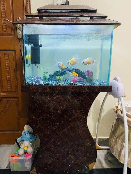 Fish aquarium with fishes 2