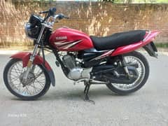 yamaha YBR z