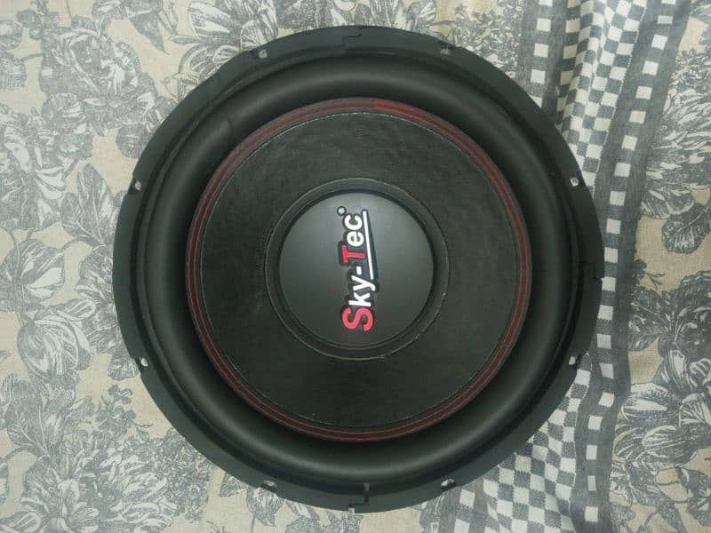 12" Woofer Double Coil 0