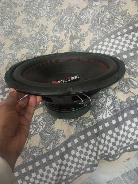 12" Woofer Double Coil 1