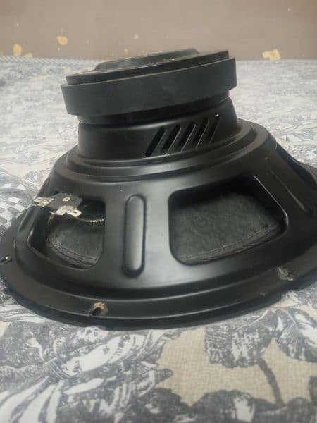 12" Woofer Double Coil 2