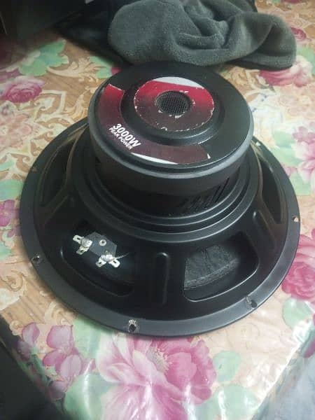 12" Woofer Double Coil 3