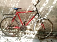 Phoenix cycle for sale