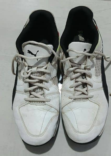 Hard Ball cricket spike shoes condition 10/10 original puma shoes 0