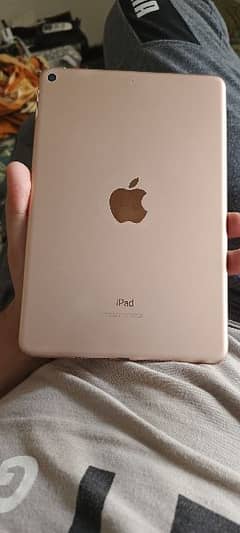 ipad mini 5