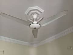 National Ceiling Fan