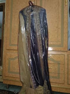 maxy chiffon Georgette for sale