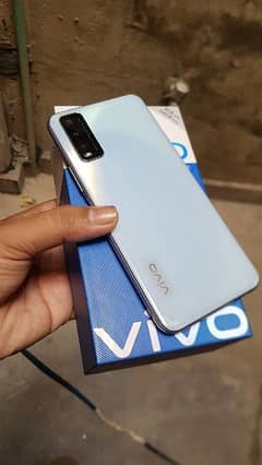 vivo