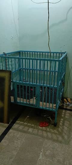 Dog Cage/ pingera/ cage