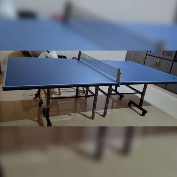 Tennis Table with Net 1