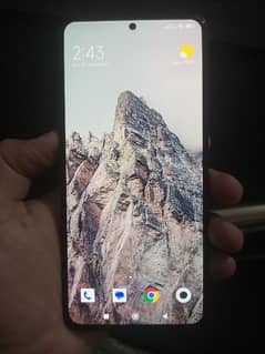 Redmi note 13 (8+4/ 256)