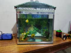 Fish aquarium good condition