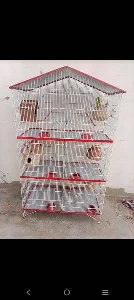 one month use cage new or parrot 6 pair argent sale 0