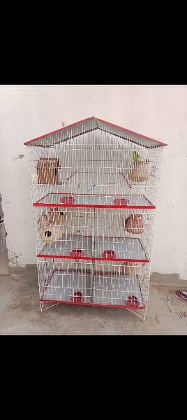 one month use cage new or parrot 6 pair argent sale 2