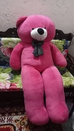 new teddy bear