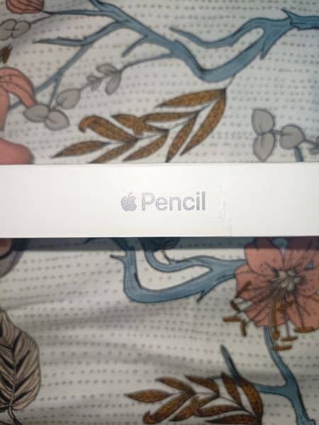 Apple pencil gen 2 2