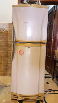 Pel refrigerator 14cubic