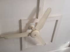 Best condition ceiling fans 6