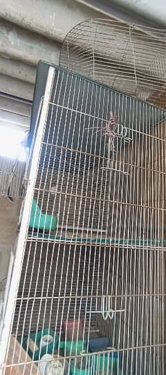 folding Cage For Sale