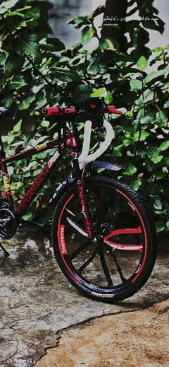 Lazer Star Imported Mountain Bicycle  Num:03335151847 0