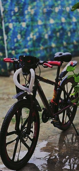 Lazer Star Imported Mountain Bicycle  Num:03335151847 4