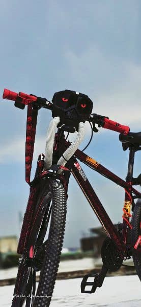 Lazer Star Imported Mountain Bicycle  Num:03335151847 8