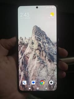 Redmi Note 13 (8+4 / 256)