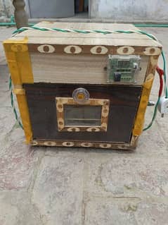 Eggs Incubator