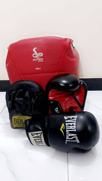 Boxing gloves/ Punching gloves ( original ) Matushi brand chestguard 0