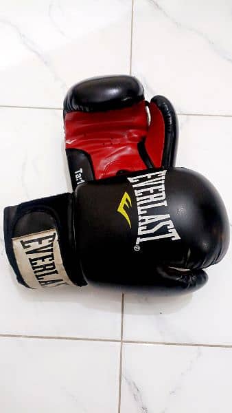 Boxing gloves/ Punching gloves ( original ) Matushi brand chestguard 1