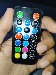 AA tiger fans remote