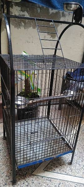 parrot cage 2