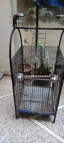 parrot cage 3