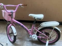 Pink Cycle with training wheels