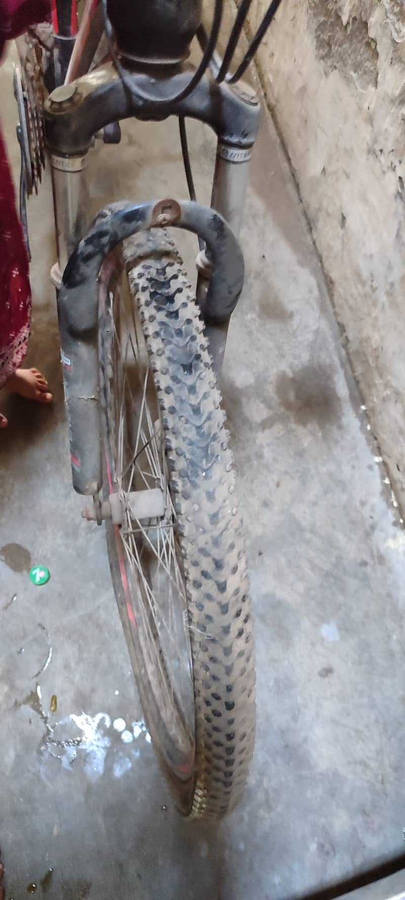 Cycle for sale shakh wali ha 1