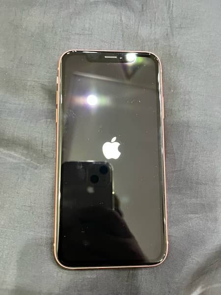 Iphone XR 6