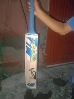 hardball bat