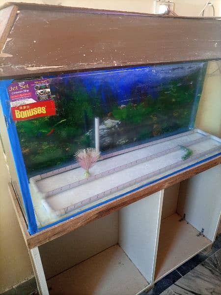 Goldfish Aquierum with 2 small fishess 1