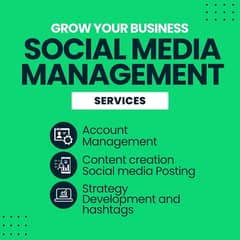 Social media Management 0