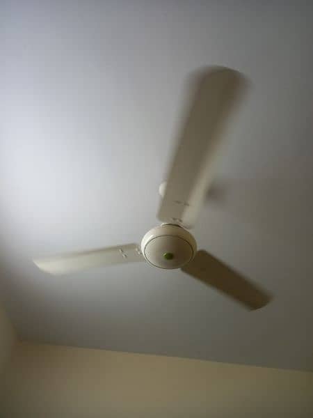 Selling Fan ROYAL 1