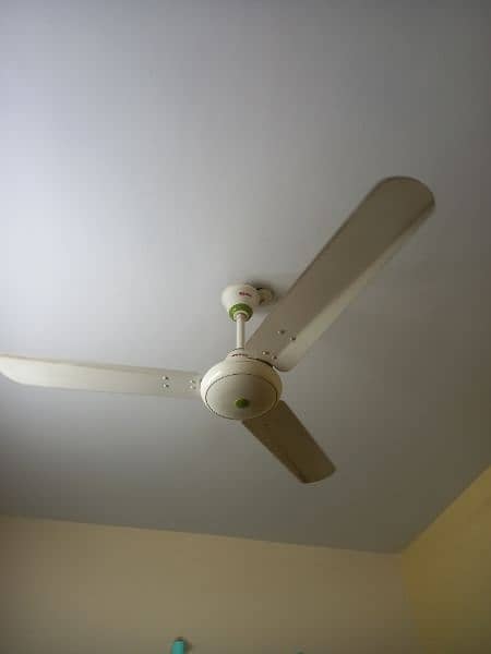 Selling Fan ROYAL 2