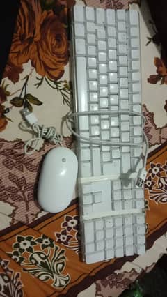 apple mouse + keyboard  (urgent need of money)