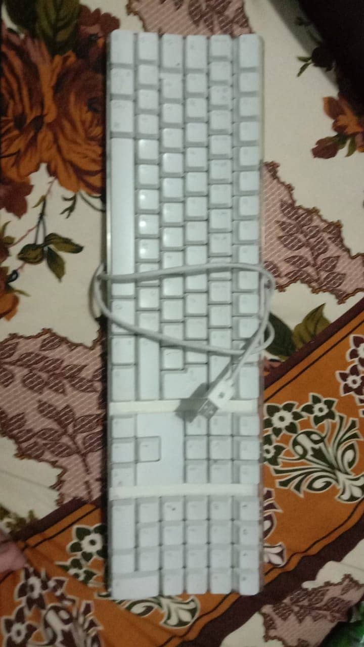 apple mouse + keyboard  (urgent need of money) 1