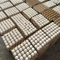 Egg traders deal with wholesale and retail