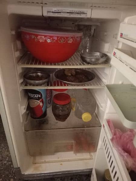 fridge 1