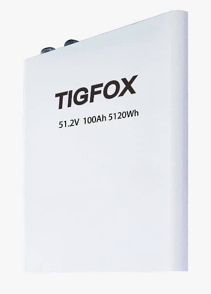 TIGFOX 48-100 Ah Lithium Battery 1